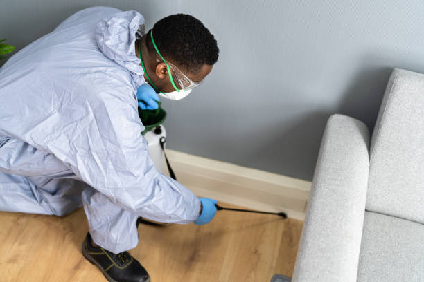 Best Pest Exclusion Services  in Aurora, IL